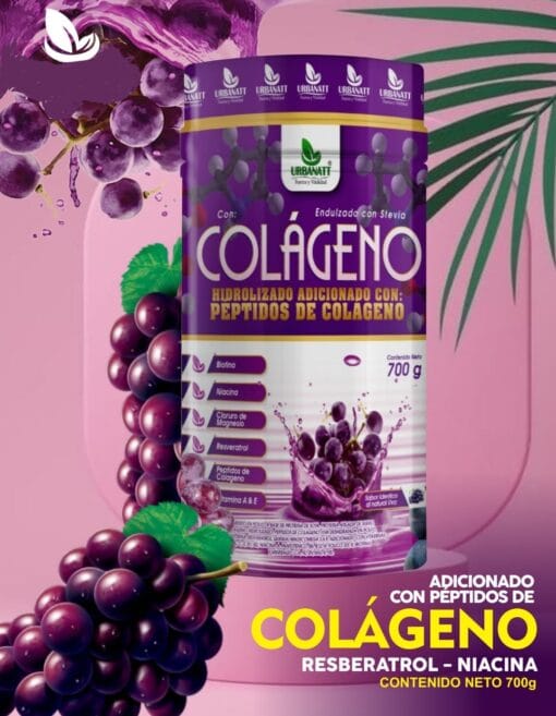 Colágeno Hidrolizado adición Péptidos + Biotina + Niacina + Cloruro de Magnesio + Resveratrol + Vitaminas A y E - 700Gr